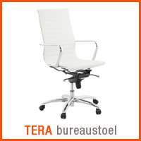 Alterego bureaustoel - TERA bureauzetel